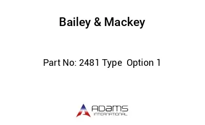 2481 Type  Option 1