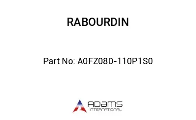 A0FZ080-110P1S0