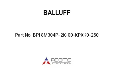 BPI 8M304P-2K-00-KPXK0-250									