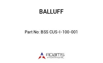 BSS CUS-I-100-001									
