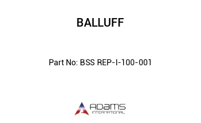BSS REP-I-100-001									