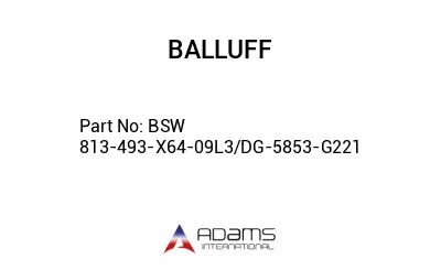BSW 813-493-X64-09L3/DG-5853-G221									