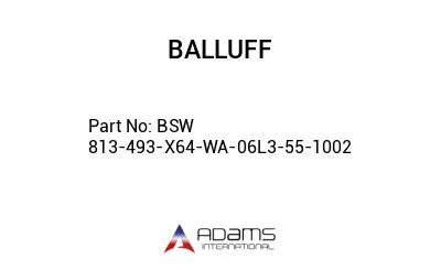 BSW 813-493-X64-WA-06L3-55-1002									