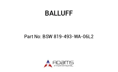 BSW 819-493-WA-06L2									